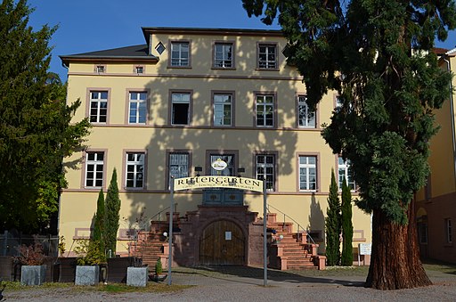 Neustadt an der Weinstraße Rittergartenstraße 11 Okt-17