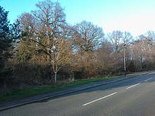 Home Wood - Viewed from Sir Alfreds Way New Hall Estate - Home Wood.jpg