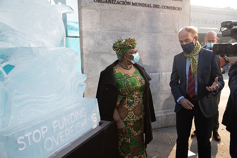 File:Ngozi Okonjo-Iweala takes over as new WTO Director-General, 1 March 2021 (50993644922).jpg
