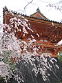 Ninna-ji National Treasure World heritage Kyoto 国宝・世界遺産 仁和寺 京都24.JPG