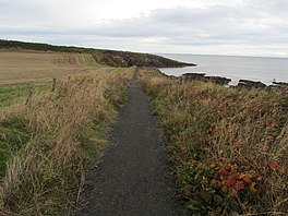 Northumberland Pantai Jalan menuju ke Cullernose Titik (geograph 3212639).jpg