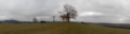 English: Panoramic view of Chapel "14-Nothelfer-Kapelle" near Hofaschenbach, Nuesttal, Hessen, Germany