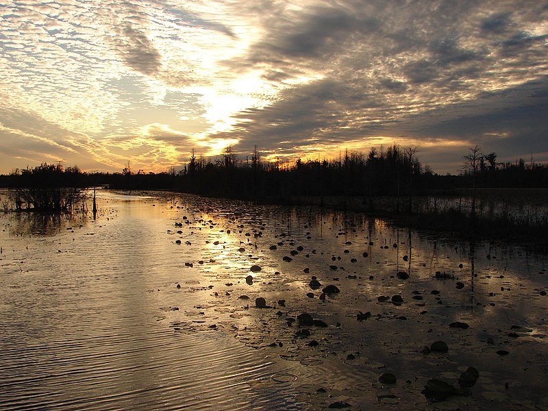 File:Okefenokee Sunset2 (9129960480).jpg