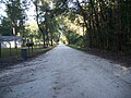 Section of old Bellamy Road east of US 441/US 41, south of O'Leno State Park, looking west.