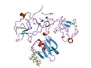 1gmn​: Kristalna struktura -{NK1}--heparin kompleksa pokazuje osnovu -{NK1}- aktivnosti i omogućava dizajn potentnih agonista -{MET}- receptora