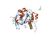 1н0w​:Кристална структура комплекса RAD51-BRCA2 BRC понављања