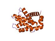 1r2i: پروتئین Bcl-XL انسانی، حاوی یک جهش ژنی فنیل‌آلانین به لوسین در جایگاه ۱۴۶