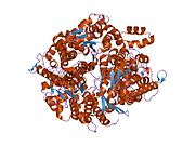 1xtb​: Kristalna struktura zečje fosfoglukozne izomeraze u kompleksu sa sorbitol-6-fosfatom