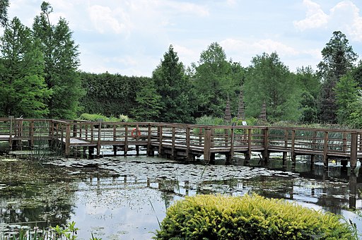 PL-PK Bolestraszyce, arboretum 2011-06-16--12-58-20-058