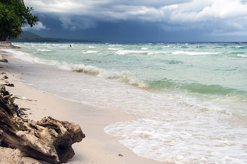 File:Panglao Island Beach.jpg