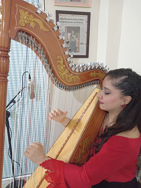 File:Paraguayan harp 1.jpg
