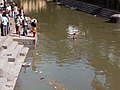 பாக்மதி ஆற்றில் நீராடும் பக்தர்கள்