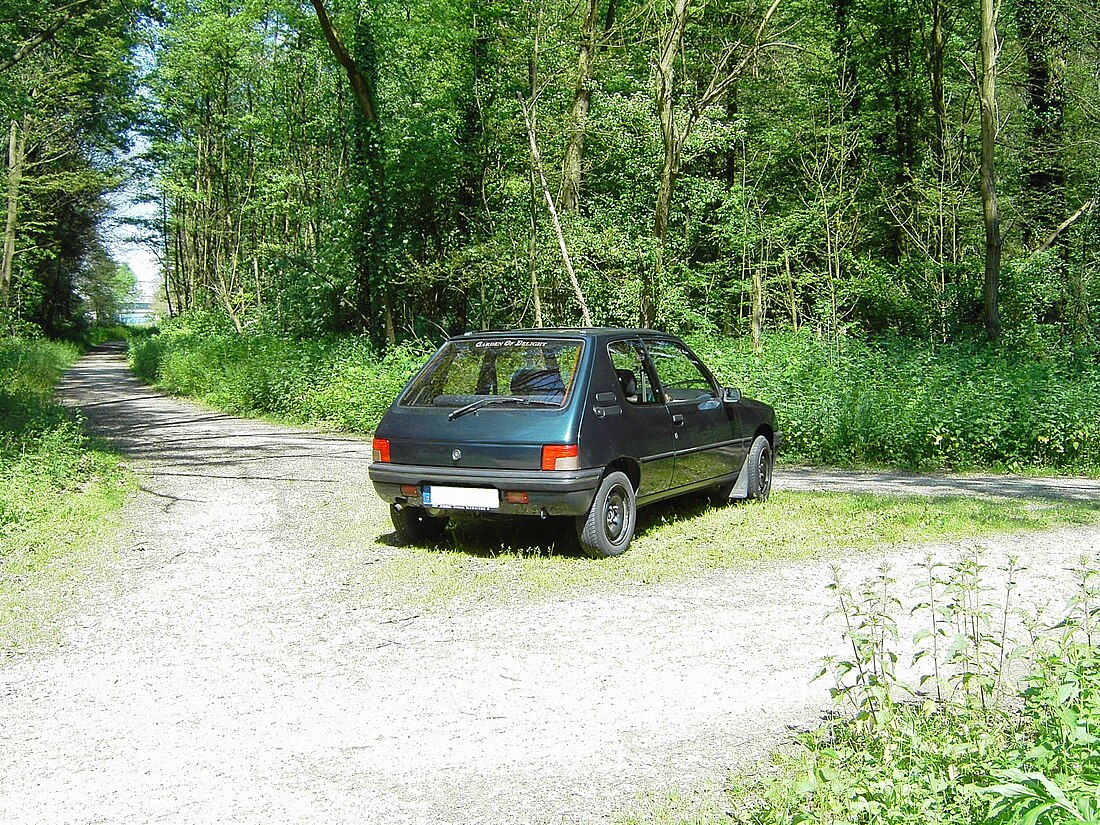 File:Peugeot205 forever 3.jpg