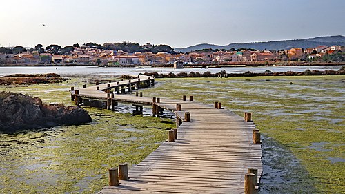 Ouverture de porte Peyriac-de-Mer (11440)