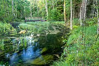 Pidula mill di Odalätsi springs