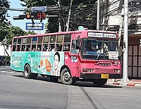Pink Bus Route 8.jpg