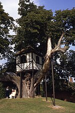 Thumbnail for File:Pitchford Hall, Shropshire - treehouse - geograph.org.uk - 6466169.jpg