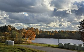 Северо-восточный берег озера Кюлаярв осенью 2017 года