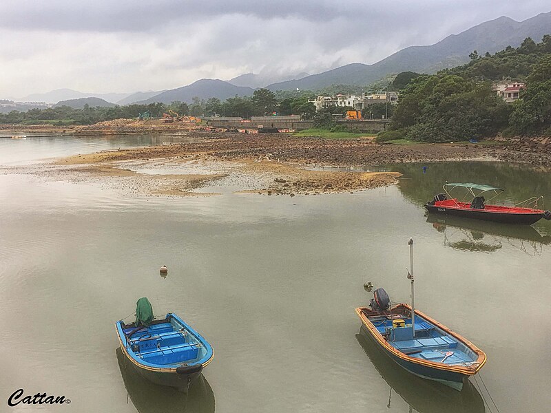 File:Plover Cove, New Territories, Hong Kong - 45730591652.jpg