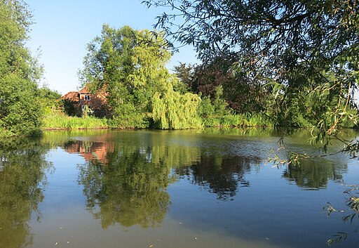 Pond at Leiston House Farm - geograph.org.uk - 4555197