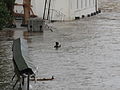 Povodně 2013, Praha (018).jpg