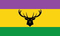 Proposed flag of Exmoor (2014) - Design B.svg