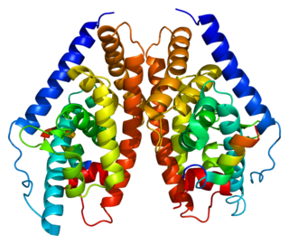 Liver X receptor beta Protein-coding gene in the species Homo sapiens