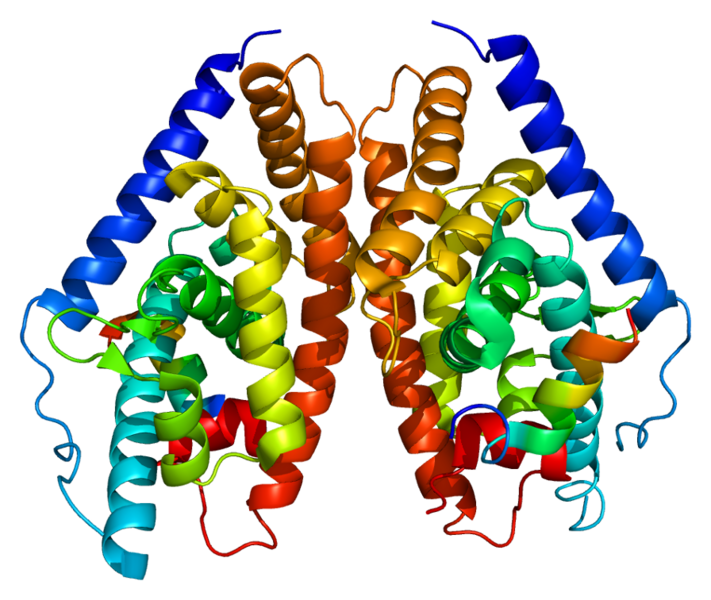 File:Protein NR1H2 PDB 1p8d.png