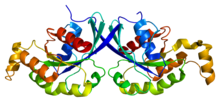 Protein RHOQ PDB 2atx.png