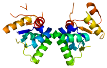 Protein SMG5 PDB 2hwy.png