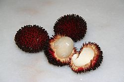 A trio of pulasan fruits, one of which has been opened to reveal the sweet edible flesh. Pulasan fruit2.JPG