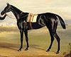 The filly Pussy in an 1834 painting by John E. Ferneley.