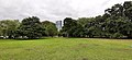 A grassy area beside Pascoe Vale Road