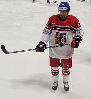 <span class="mw-page-title-main">Radek Koblížek</span> Czech ice hockey player