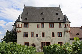 Dominio vinícola Château Geisenheim, Rheingau (propiedad de la familia desde 1652)