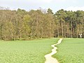 Rangsdorf - Feldweg (Field Path) - geo.hlipp.de - 35286.jpg