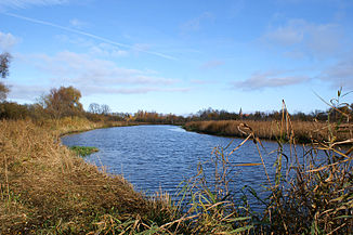 Il Recknitz a Ribnitz-Damgarten