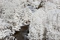 Français : Le Pont, Reynès (Pyrénées-Orientales, Languedoc-Roussillon, France) photographiée avec un filtre infrarouge 720 nm. Català: El Pont, Reiners (Pirineus Orientals, Llenguadoc-Rosselló, França) fotografiadat amb un filtre infraroig 720 nm. Español: El Puente, Reynès (Pirineos Orientales, Languedoc-Rosellón, Francia) fotografiada con un filtro infrarrojo 720 nm.