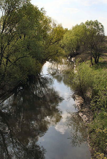 Rio Crasna (Tisza)