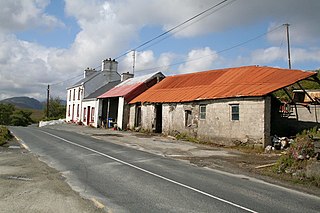 <span class="mw-page-title-main">R250 road (Ireland)</span> Road in Ireland
