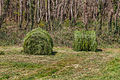 * Nomination Roll of fresh grass, Valverde, Vilarromarís, Oroso, Galicia, Spain --Lmbuga 18:52, 19 April 2012 (UTC) * Promotion Good quality. --NorbertNagel 21:27, 21 April 2012 (UTC)