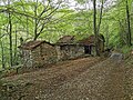 wikimedia_commons=File:Rural building at Alpe Cognolo.jpg