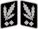 SS-Obergruppenführer Collar Rank.svg