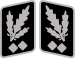 SS-Obergruppenführer Collar Rank.svg