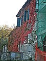 San Giovanni in Petriolo.village-house with red ivy