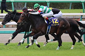 サートゥルナーリア (競走馬) - Wikipedia