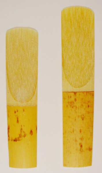 The reeds of alto (left) and tenor saxophones. They are of comparable dimensions to alto and bass clarinet reeds, respectively.