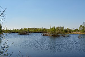 Schleswig-Holstein, Heide, Ostroher-Süderholmer Moor NIK 0115.JPG