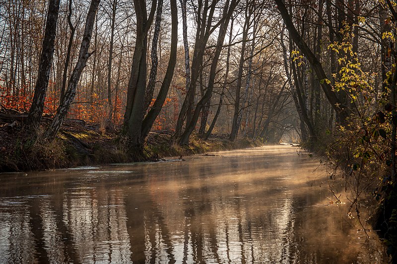 File:Schwalm mit Morgennebel - Naturschutzgebiet Elmpter Schwalmbruch.jpg