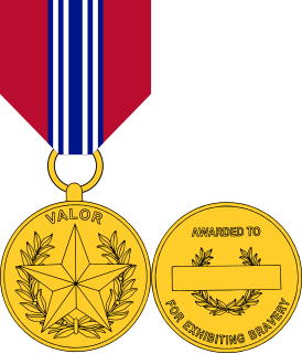 Secretary of the Army Award for Valor